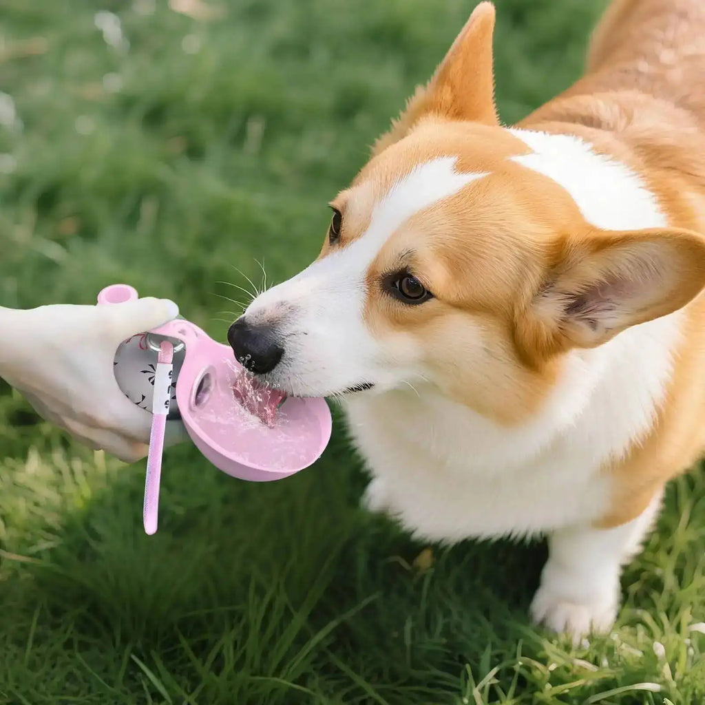 Portable Dog Water Bottle – Foldable Leak Proof Water Dispenser